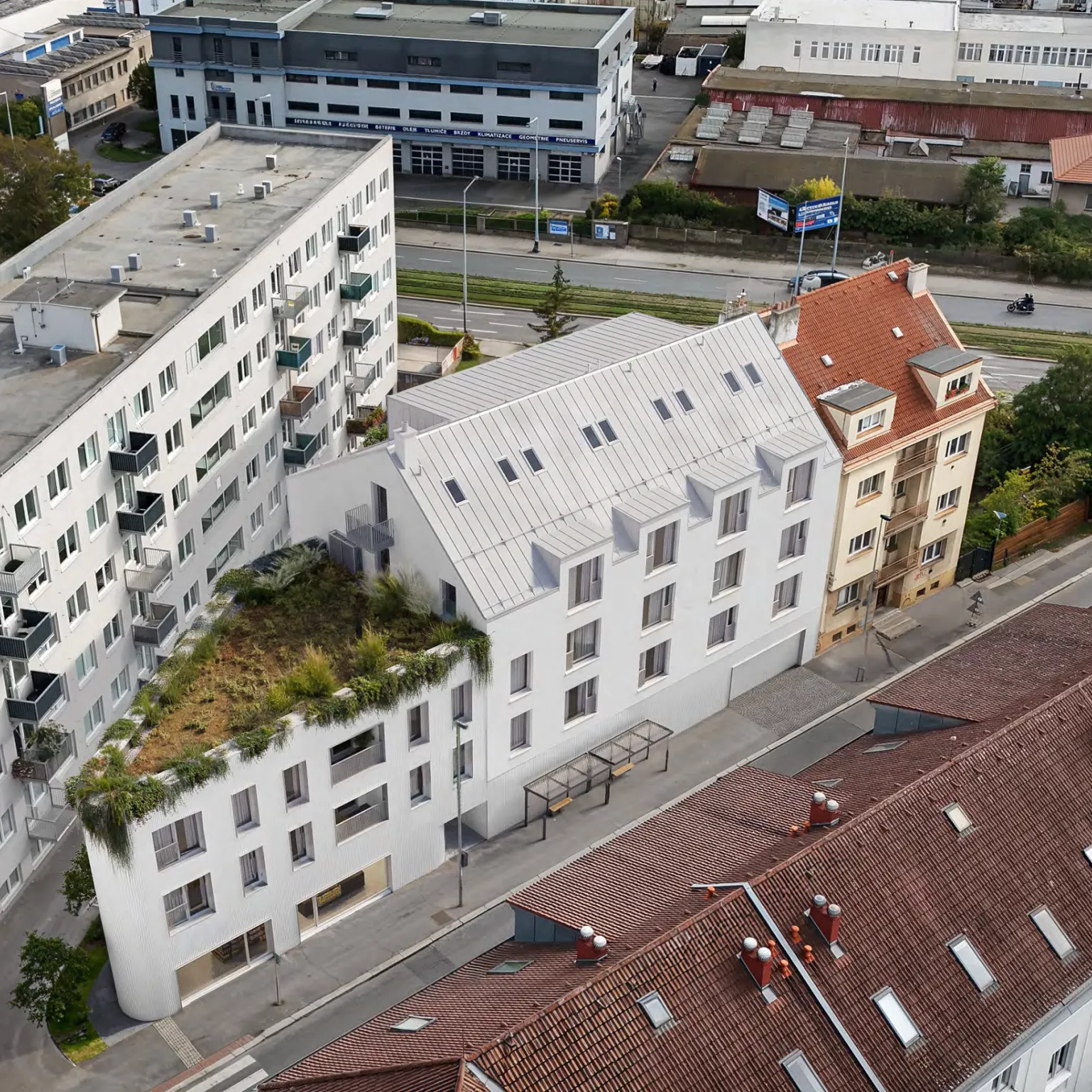 Perla Limuzská - obrázek 2